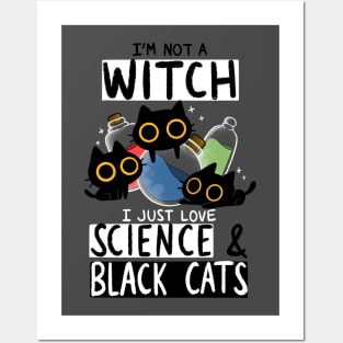 Not a Witch Posters and Art